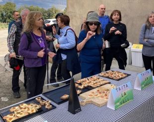 El Tasta la Vall tornarà el 25 d'octubre amb una ruta de 8 quilòmetres per la pagesia local