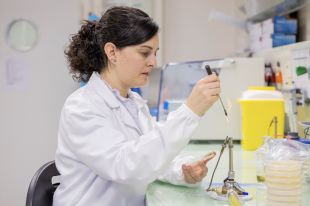 La UdG rep un ajut de 150.000 euros per desenvolupar una vacuna contra bacteris resistents