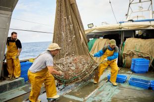 Roses acollirà una cimera mediterrània sobre l'aprofitament pesquer