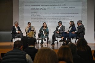 Catalunya només produeix el 16% de les hortalisses que consumeix