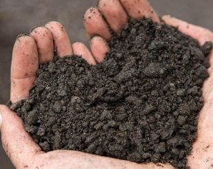 Un estudi amb participació de la UdG avala l'eficàcia dels fertilitzants reciclats