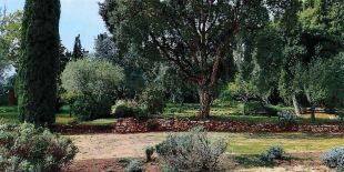 SOS Costa Brava rebutja el pla urbanístic per a 22 habitatges als Jardins de Rubió i Tudurí