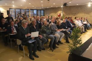 Aposten per les dunes i la posidònia com a barreres naturals contra els temporals