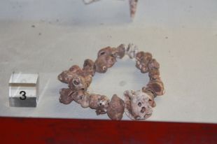Roben dos collarets prehistòrics d'una vitrina del Museu Arqueològic de Banyoles