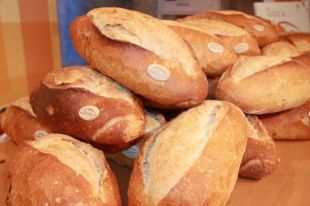 Surt a la venda el pa de la Tramuntana, fet amb farines antigues conreades als Aiguamolls