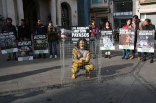 Un activista es tanca dins una gàbia a Figueres i reclama es prohibeixi els circs amb animals