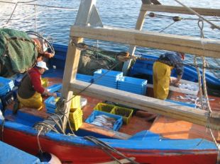 Els pescadors de gamba de Palamós amplien a tres mesos la veda en els punts més sobreexplotats  