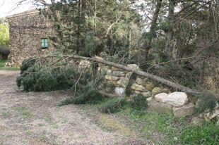 Més de 300 cases de turisme rural també van patir els efectes del temporal de neu