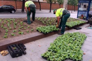 El gremi atura el contracte del servei de jardineria a Girona perquè el considera insuficient