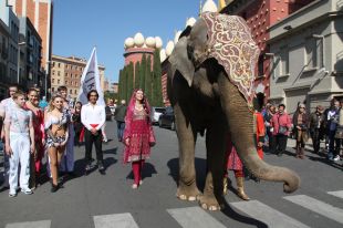 L'elefanta Dumba dóna el tret de sortida al Festival Internacional de Circ de Figueres