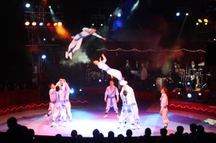 El Festival del Circ de Figueres supera amb èxit la primera edició amb una ocupació del 98,6% 