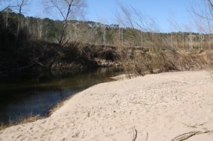 Gairebé 1 milió d'euros per recuperar hàbitats del riu Ter al Gironès i al Baix Empordà