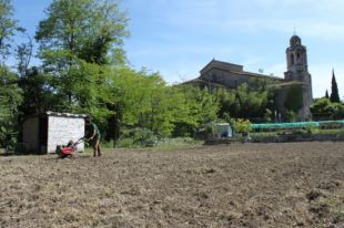 Neix un projecte per preservar l'horta urbana a Banyoles amb el cultiu de verdures ecològiques
