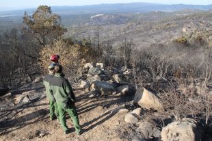 Els Agents Rurals creuen que el foc de l'Ardenya va ser provocat