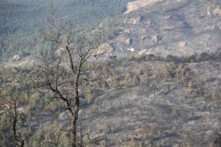 Continuen en fase de control els incendis del Baix Empordà i Gerri de la Sal