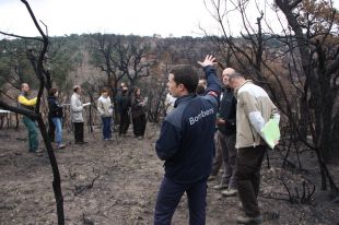 Un 30% de les franges de protecció d'incendis al massís de l'Ardenya, pendents d'executar