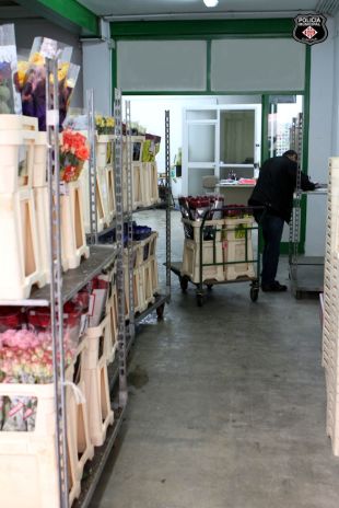 Precintat un local amb 3.200 roses que es venien il·legalment