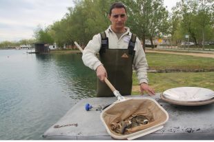 Retiren més de 52.000 peixos exòtics de l'estany de Banyoles