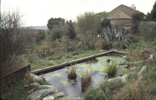 Roben dues tortugues de 50 quilos del Centre de Reproducció de l'Albera