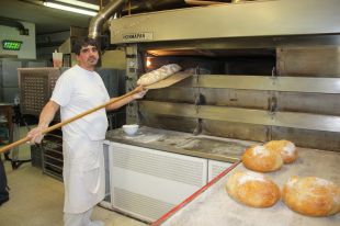 'És farina de Girona' preveu una collita de més de 1.000 tones de blat 