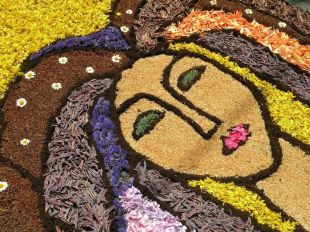 Arbúcies es prepara pel concurs de catifes de flors naturals del Montseny