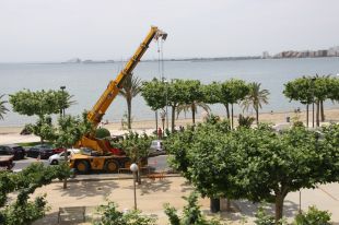 Roses trasllada cinc palmeres que dificultaven el pas als vianants