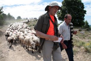 Arbúcies ofereix un curs de pastor per a joves d'entre 16 i 29 anys
