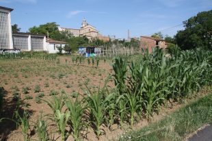 Salvem Sotamonestir de Banyoles no aprova el pla urbanístic