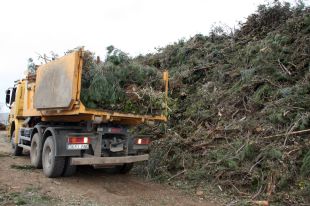 Segueixen els treballs de neteja dels boscos gironins després del temporal de neu