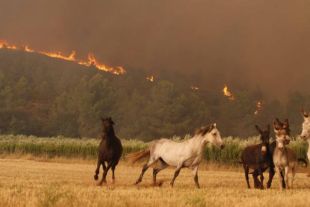 El Patronat de Turisme Costa Brava intenta evitar cancel·lacions per l'incendi