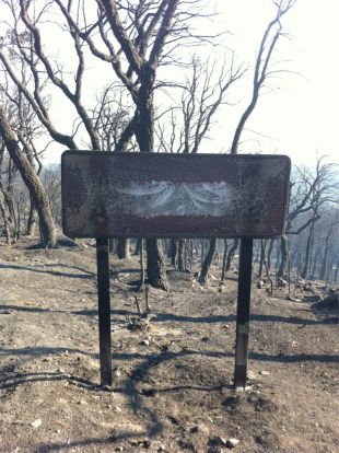 Puig demana als tafaners no trepitjar la zona afectada per l'incendi