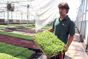 El fum del #FocEmpordà contamina cultius de verdures emprats en alta cuina