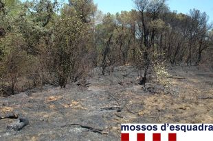Detingut l'autor de l'incendi de Cruïlles