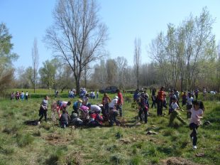 Uns 180 alumnes d'escoles de Salt planten arbres al Parc de la Devesa