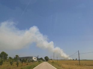 30 dotacions terrestres i 11 aèries dels Bombers treballen en un incendi a Vilopriu