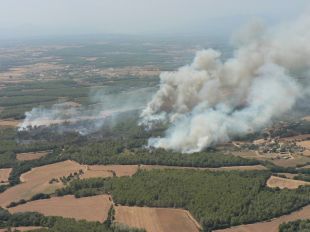El foc de Vilopriu està estabilitzat i ha cremat entre 15 i 20 hectàrees