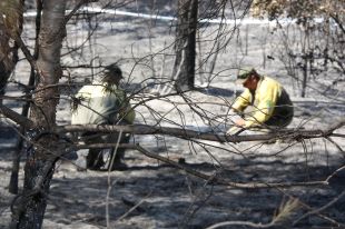 Els Bombers donen per extingit el foc de Vilopriu