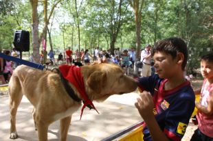 Desfilada de gossos a Tossa de Mar per fomentar l'adopció d'animals