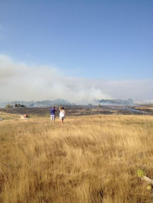 L'incendi de l'Escala ha cremat 8 hectàrees de vegetació