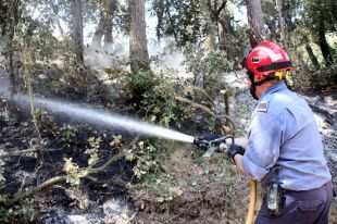 Les intenses pluges redueixen el risc d'incendi per aquest estiu