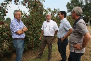 Poma de Girona pujarà els preus per compensar una caiguda de la collita del 12%