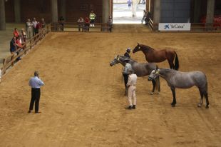 Girona engega la seva alternativa a l'Equus