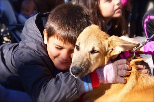 Lloret de Mar promou una campanya d'identificació de mascotes amb xip i alta censal gratuïta