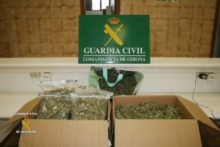 Arresten un matrimoni que viatjava amb 3kg de marihuana i el seu fill menor d'edat