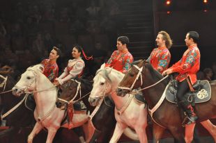 El Festival Internacional del Circ de Figueres comptarà amb un espectacle eqüestre