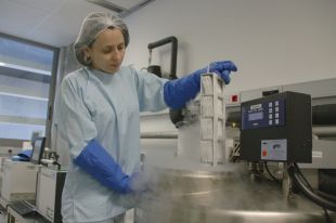 Recullen 3.000 mostres de cordó umbilical a Girona en un any i mig