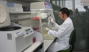 Un científic gironí descobreix la fórmula per transformar en or els excrements