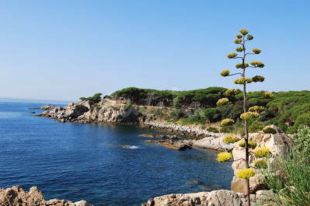 La Pineda d'en Gori de Palamós s'escaparà de ser urbanitzada 