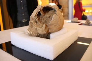 Obtenen imatges en 3D dels dos cranis enclavats d'Ullastret del segle III aC 