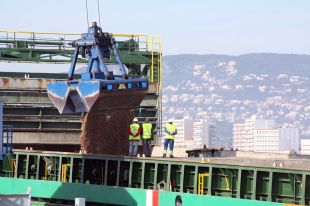 Més de 5.000 tones d'estella i troncs cremats del #FocEmpordà, amb destí a Itàlia